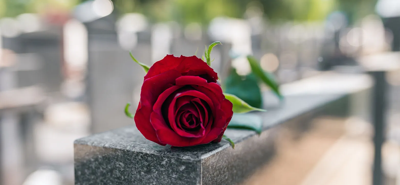Memorial red rose resting on a headstone