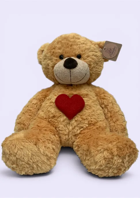 eMemorybear, a brown teddy bear with a red heart on its chest